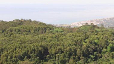 Arka planda Maas plajı olan Sintra-Cascais Doğal Parkı manzarası