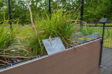 Cgarden 'ın yenilikçi ekme kutusu sürdürülebilir tarım için organik atık kullanımı sergiliyor