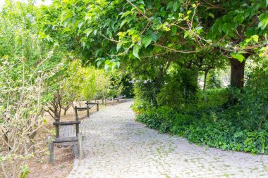 Huzurlu bir parkın içinden geçen sakin kaldırım taşı yolu, ziyaretçileri doğanın huzurunun tadını çıkarmaya çağırıyor.