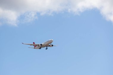 Türk havayolları a330 numaralı Airbus iniş takımlarıyla güzel mavi bir gökyüzünde uçuyor