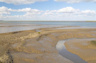 Tagus nehrinin alçak sulardaki manzarası. Çamurlu düzlükler ve bulutlu mavi gökyüzü.