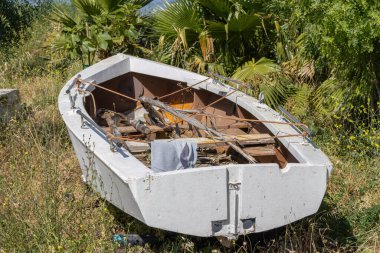 Eski ahşap tekne, palmiye ağaçlarının yakınında çimen ve yabani otlarla kaplıdır.