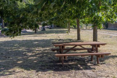 Tahta piknik masasına bağlı banklar bir parktaki ağaçların gölgesinin altında duruyor ve dinlenmek için huzurlu bir yer sunuyor.