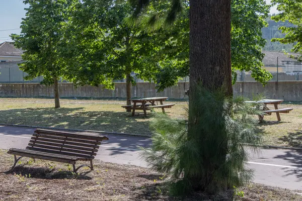 Güneşli bir günün tadını çıkarırken, bir park dinlenecek bir yer sunuyor ve huzur dolu bir anın tadını çıkarıyor.