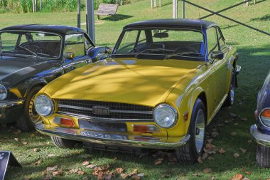 Sarı Zafer Tr6 Güneşli bir günde çimlere parkedildi