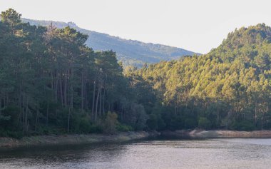 Serra de sintra doğal parkındaki verimli ormanlarla çevrili Rio da Mula barajındaki güneş ışığını yansıtan sakin sular.