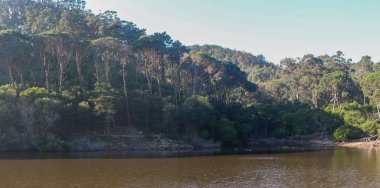 Sakin sular, sintra Portekiz 'deki Rio da Mula barajını çevreleyen yemyeşil ormanı yansıtıyor.