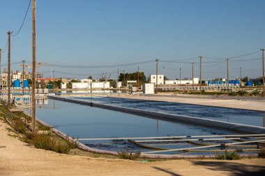 Open air algae farm reflecting blue sky at algatec eco business park, showcasing sustainable microalgae cultivation for entrepreneurial projects clipart