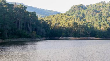 Sakin sular, Portekiz, Serra de Sintra 'daki Rio da Mula barajını çevreleyen yemyeşil ormanı yansıtıyor.