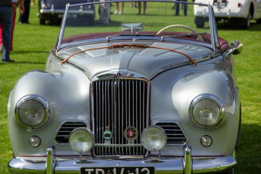 Klasik bir araba fuarında çimlerin üzerine park etmiş gümüş ışıklı alp roadster klasik çekiciliğini sergiliyor.