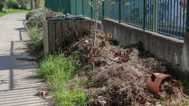 Dry branches, leaves, and a broken terracotta pot are piled next to a wooden compost bin, indicating ongoing composting and garden maintenance clipart