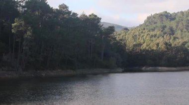 Güneş ışığı, sintra Portekiz 'deki Rio da Mula barajının sakin sularını çevreleyen yemyeşil bir ormanı yavaşça aydınlatır.