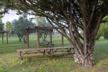 Ahşap piknik masaları ziyaretçileri Loureshopping Green Park, Loures, Portekiz 'deki büyük bir ardıç ağacının altında dinlenmeye davet ediyor.