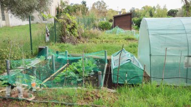 Sebze bahçesinde koruyucu ağlar ve plastik örtüler altında büyüyen tohumlar sağlıklı büyümeyi teşvik eder ve haşere istilasını önler.