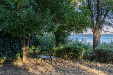 Portekiz 'deki tagus nehrinin kıyısındaki ağaçların gölgesinin altında boş bir bank bulunan sakin manzara, tefekküre ve rahatlamaya davetiye çıkarıyor.