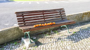 Güneşli bir şehir merkezinde, yıpranmış ahşap bir park bankında on tane mandalina düzgünce sıralanır.
