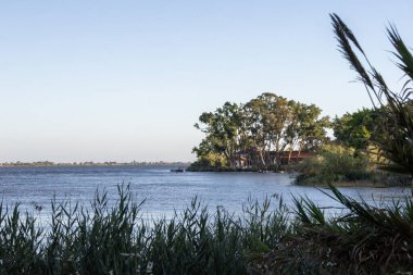 Tagus nehrinin sakin suları gökyüzünü yansıtıyor, okaliptüs ağaçları ve kamışlarla çevrili, Portekiz 'de huzurlu bir doğal manzara yaratıyor.