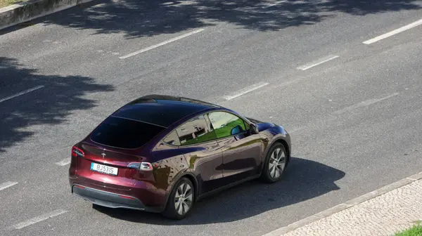 Modern Tesla modeli asfalt yolda ağaç gölgesiyle sürüyor
