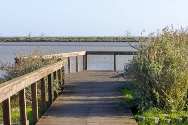 Manzaralı yürüyüş yolu sakin sulara ve bol bitki örtüsüne erişim sağlar.