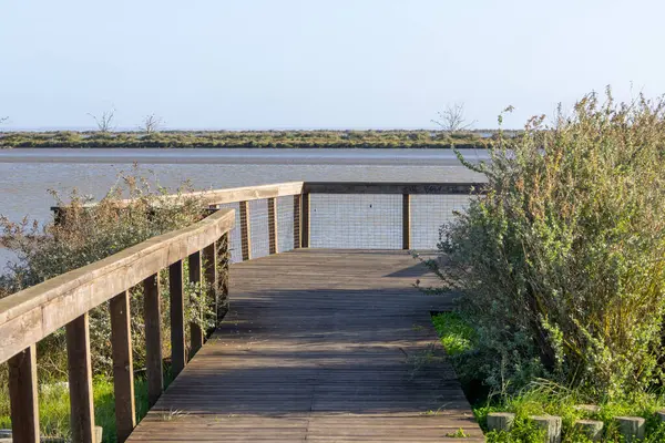 Manzaralı yürüyüş yolu sakin sulara ve bol bitki örtüsüne erişim sağlar.