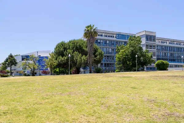 Güneşli bir günde modern mimarisi ve yeşil çimenliği olan Lizbon Üniversitesi Bilim Fakültesi 'ne geniş bir bakış açısı