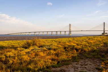 Portekiz, Tagus nehri üzerindeki Vasco da Gama Köprüsü 'nün manzaralı manzarası. Canlı bir günbatımında, ön planda altın bitki örtüsüyle.