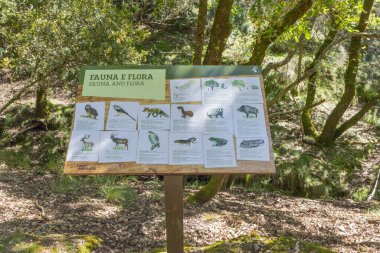 Tapada Nacional de Mafra, Portekiz 'deki yerel fauna ve flora türlerini gösteren ahşap bilgilendirme işareti.