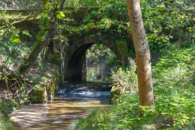Canlı yeşil bir ormanın içine yerleştirilmiş antik bir taş köprünün altında çağlayan küçük bir şelalenin manzarası sakin bir doğal manzara yaratıyor.