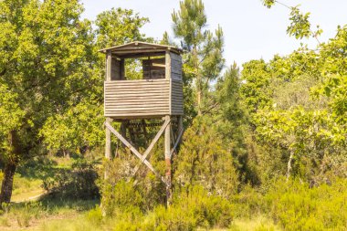 Yükseltilmiş ahşap avlar tapada nacional de mafra 'nın canlı yeşillikleri arasına yerleşmiş, vahşi yaşamı gözlemlemek için uygun bir nokta sunuyor.