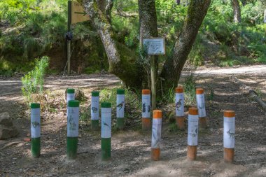 Yerel faunayı anlatan bilgilendirici gönderiler dingin tapada nacional de mafra, Portekiz içinde bir doğa yolu boyunca eğitici bir öğrenme deneyimi sunar.