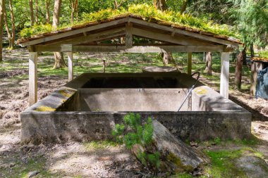 Tapada Nacional de Mafra, Portekiz ormanlarında yosunlu bir çatı ile kaplanmış hayvanları sulamak için boş beton yalak.