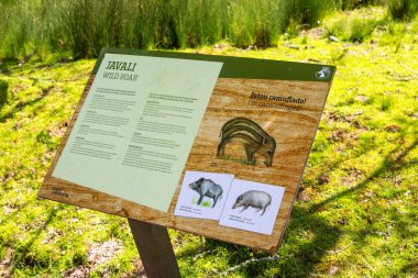 Tapada Nacional de mafra, Portekiz 'de yabani domuzu tanımlayan tahtadan bilgi panosu, vahşi yaşamı koruma konusundaki farkındalığı artırıyor.