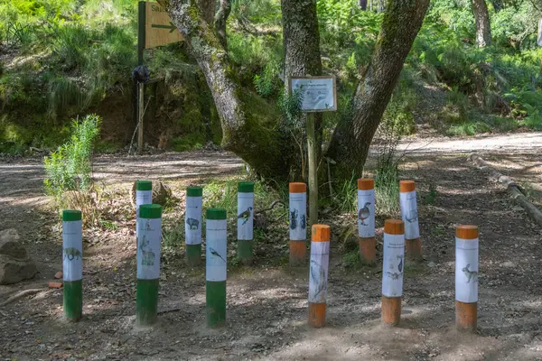 Yerel faunayı anlatan bilgilendirici gönderiler dingin tapada nacional de mafra, Portekiz içinde bir doğa yolu boyunca eğitici bir öğrenme deneyimi sunar.