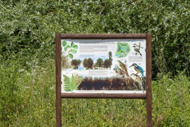 Lagoa pequena yorum uzayındaki yerel flora ve fauna türlerini gösteren ahşap bilgilendirme işareti, sesimbra, Portekiz yakınlarındaki bir kuş izleme cenneti