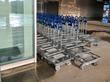 Bir IKea mağazasının dışında müşterilerin mobilya ve ev eşyaları taşıması için düzgünce düzenlenmiş çok sayıda düz konteynır var.