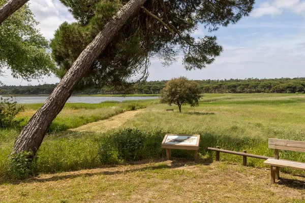 Banklar ve bilgilendirici işaretler, lagoa pequena, sesimbra 'daki doğal güzellik ve kuş izleme fırsatlarını keşfetmeye davet ediyor.