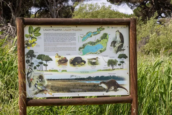 Lagoa pequena yorumlama uzayındaki biyolojik çeşitliliği gösteren bilgilendirici işaret, simbra, Portekiz 'de bir kuş izleme cenneti