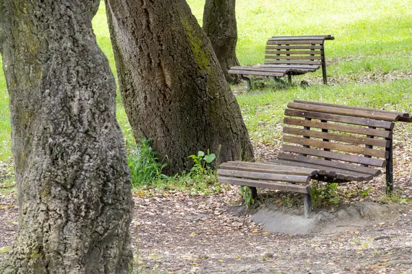 Mantar meşe ağaçlarının altındaki ahşap banklar Portekiz 'in Almada şehrindeki bir şehir parkı olan Park Da Paz' a ziyaretçileri rahatlamaya ve eğlenmeye davet ediyor.