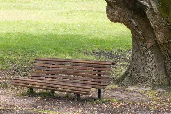 Mantar meşe ağacının altındaki ahşap bank ziyaretçileri rahatlamaya ve Portekiz, Almada 'da parkın keyfini çıkarmaya davet eder.