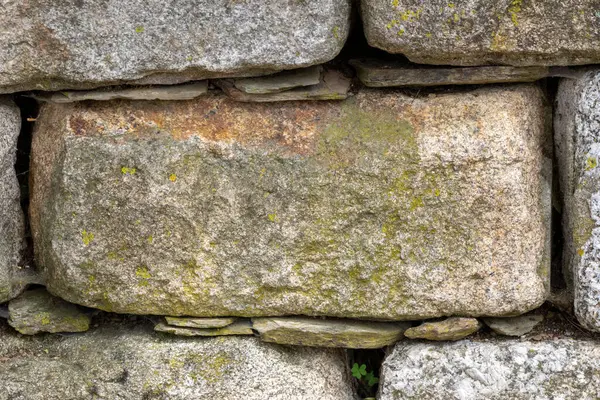 Granit taş bir duvarı yosun ve liselerle kapatın. Doku ve doğal hava koşullarını vurgulayın.
