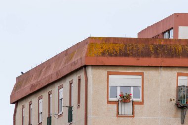 Köşesinde güvercin tünemiş bir güvercin ve bazı pencereleri süsleyen çiçek kutuları olan bir binanın çatısında büyüyen yosun.