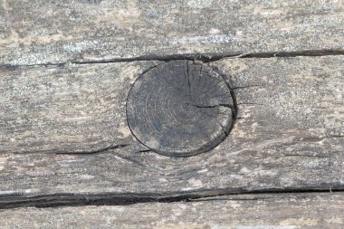 Yıpranmış bir kalasta ahşap bir düğüme yakın durmak, karmaşık büyüme halkalarını ortaya çıkarmak ve biraz kırsal cazibe katmak.