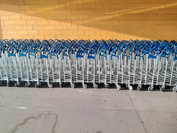 Mavi saplı pek çok metal alışveriş arabası Portekiz 'deki bir ikea mağazasında müşterileri bekleyen sarı tuğlalı bir duvarın önünde durmaktadır.