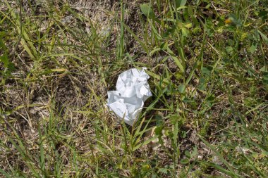 Terk edilmiş kağıt atıkları, tagus nehrinin kıyısındaki çimlerin arasında yatıyor, Lizbon 'daki çevre kirliliğini vurguluyor.