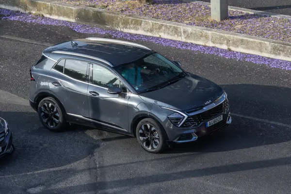 Gri kia sporu yolda giderken yanında da düşmüş jakaranda çiçekleri vardı.