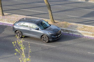 Yol kenarında düşen mor jakaranda çiçekleriyle şehir yolunda giden gri bir cip.