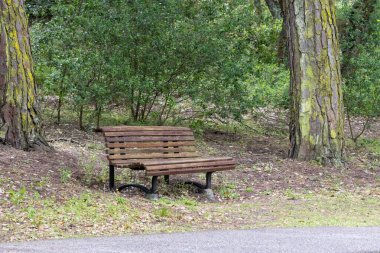 Tahta bank, yoldan geçenleri huzurlu park da paz 'a, Portekiz, Almada' da güzel bir şehir parkına dinlenmeye davet ediyor.