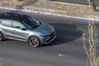 Şehir yolunda düşen mor jakaranda çiçekleriyle modern gri bir arabanın hava manzarası.