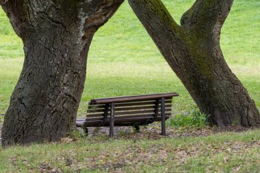 Boş bank ziyaretçileri rahatlamaya ve Park Da Paz 'ın huzurlu atmosferinin tadını çıkarmaya davet ediyor.
