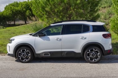 Çimlerin ve ağaçların yanına park etmiş, huzurlu doğanın tadını çıkaran modern beyaz bir jipin yan görüntüsü.